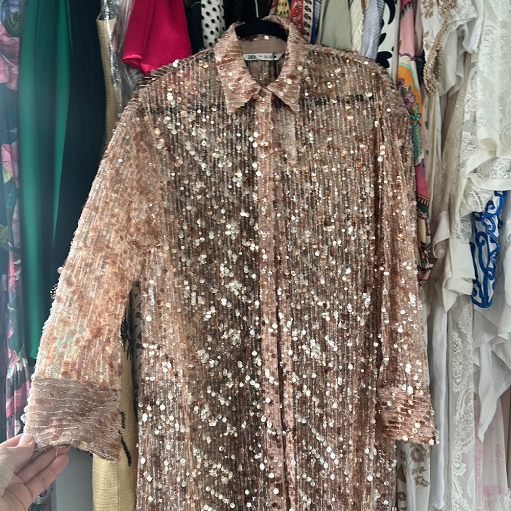 Zara sequin cover or jacket or dress